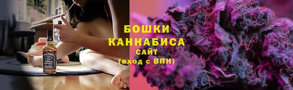 Альфа ПВП Дубна