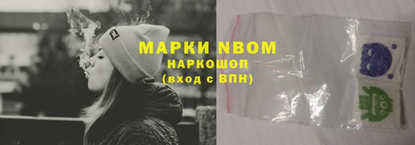 стафф Покачи