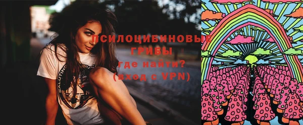 PSILOCYBIN Покровск